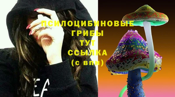 2c-b Абаза
