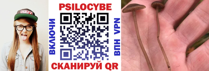 hydra вход  Зеленокумск  Псилоцибиновые грибы MAGIC MUSHROOMS  где купить наркотик 