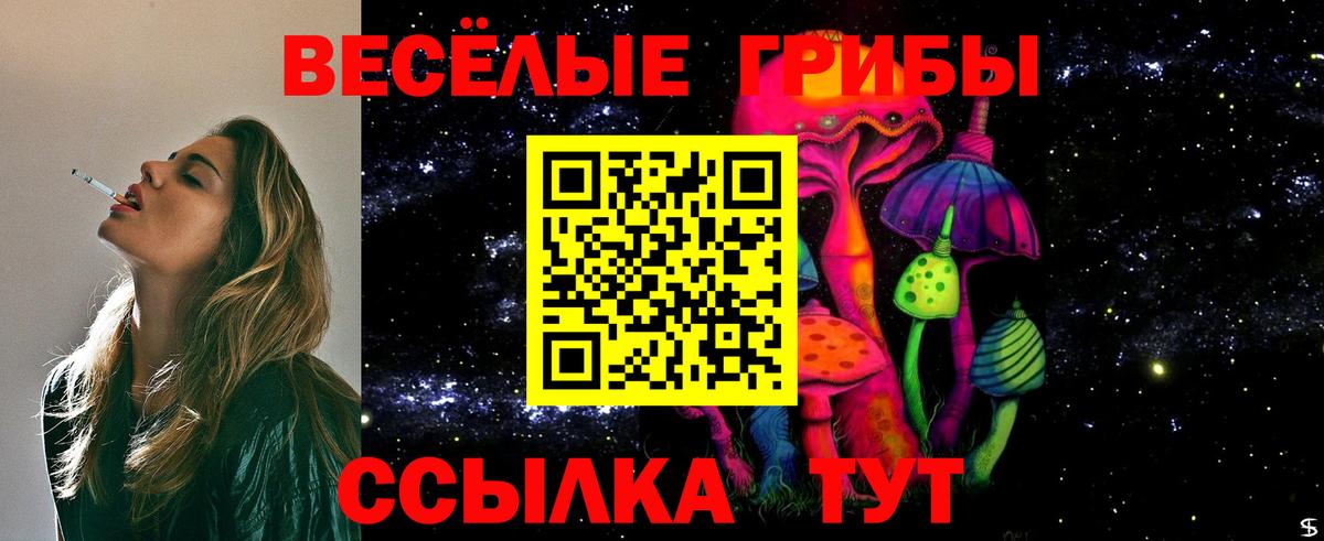 Псилоцибиновые грибы ЛСД  Вход с VPN  Галлюциногенные грибы прущие грибы  Зеленокумск 