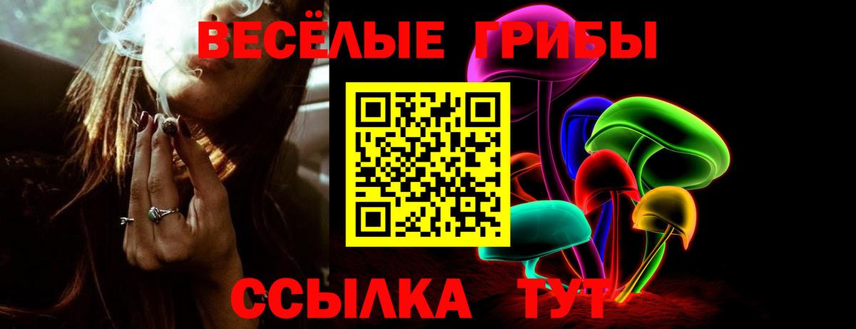 Псилоцибиновые грибы прущие грибы Зеленокумск